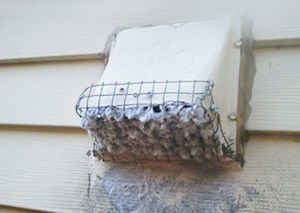 dryer-vent-cleaning-vent-hood-screen (002)