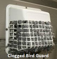 clogged-bird-guard
