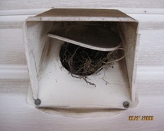 nest-in-vent